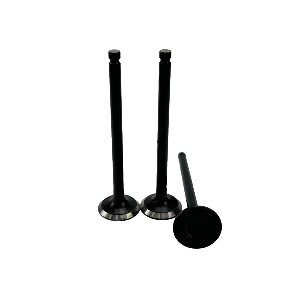 Exhaust Valve Fit For Mitsubishi S3L Engine