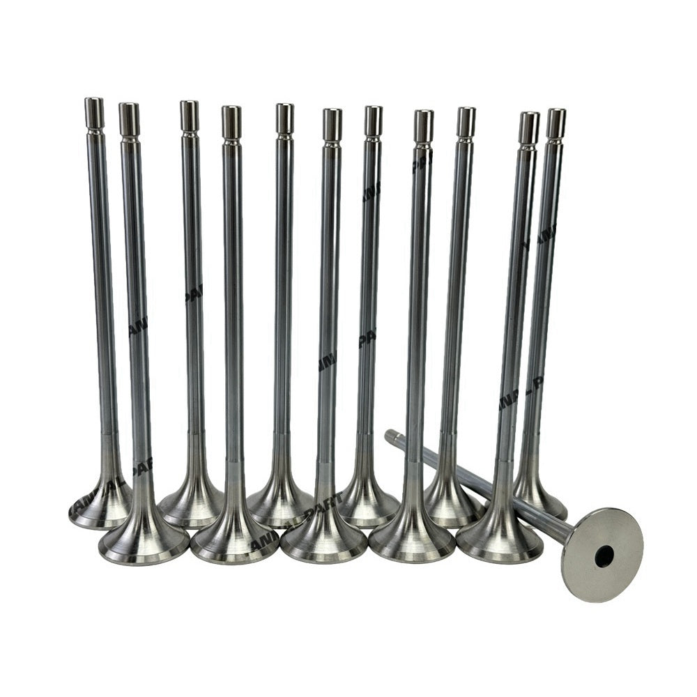 Exhaust Valve Fit for Volvo D12D Engine Parts