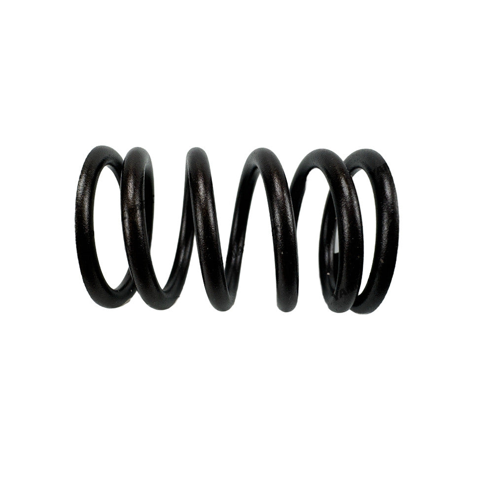 Valve Spring T417713 Fit For Caterpillar C6.6 Engine