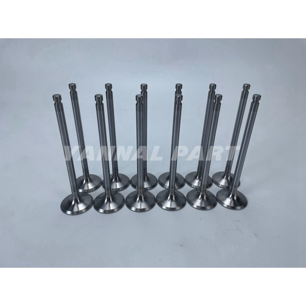 Intake Valve Fit For Mitsubishi 6M60 Engine