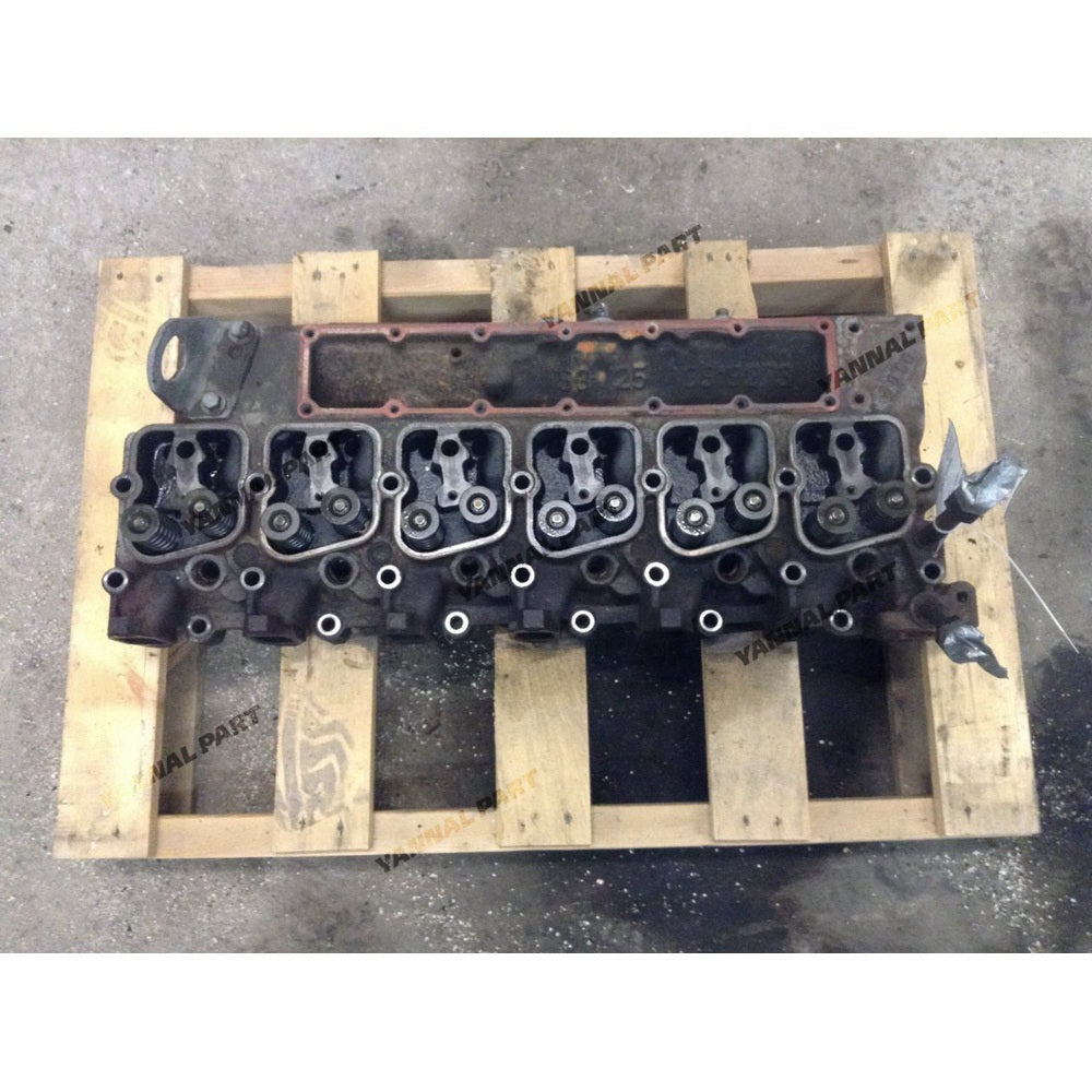 Cylinder Head 3919273 for Engine 6B5.9 6BT5.9