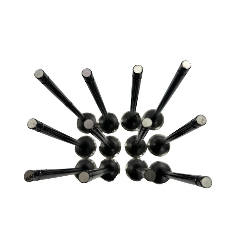 12 PCS Exhaust Valve Fit For Hyundai D6CB Engine