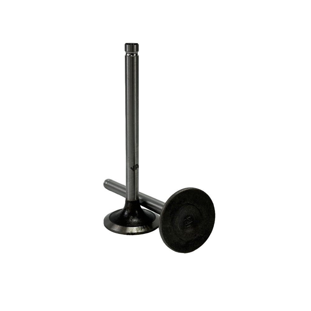 Intake Valve Fit For FAWDE KD488D Engine