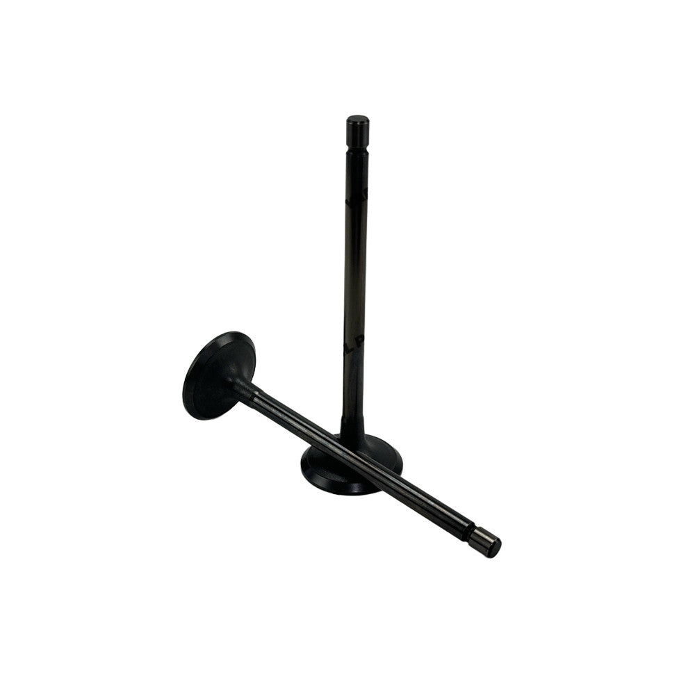 Intake Valve Fit For Toyota 1VD Engine