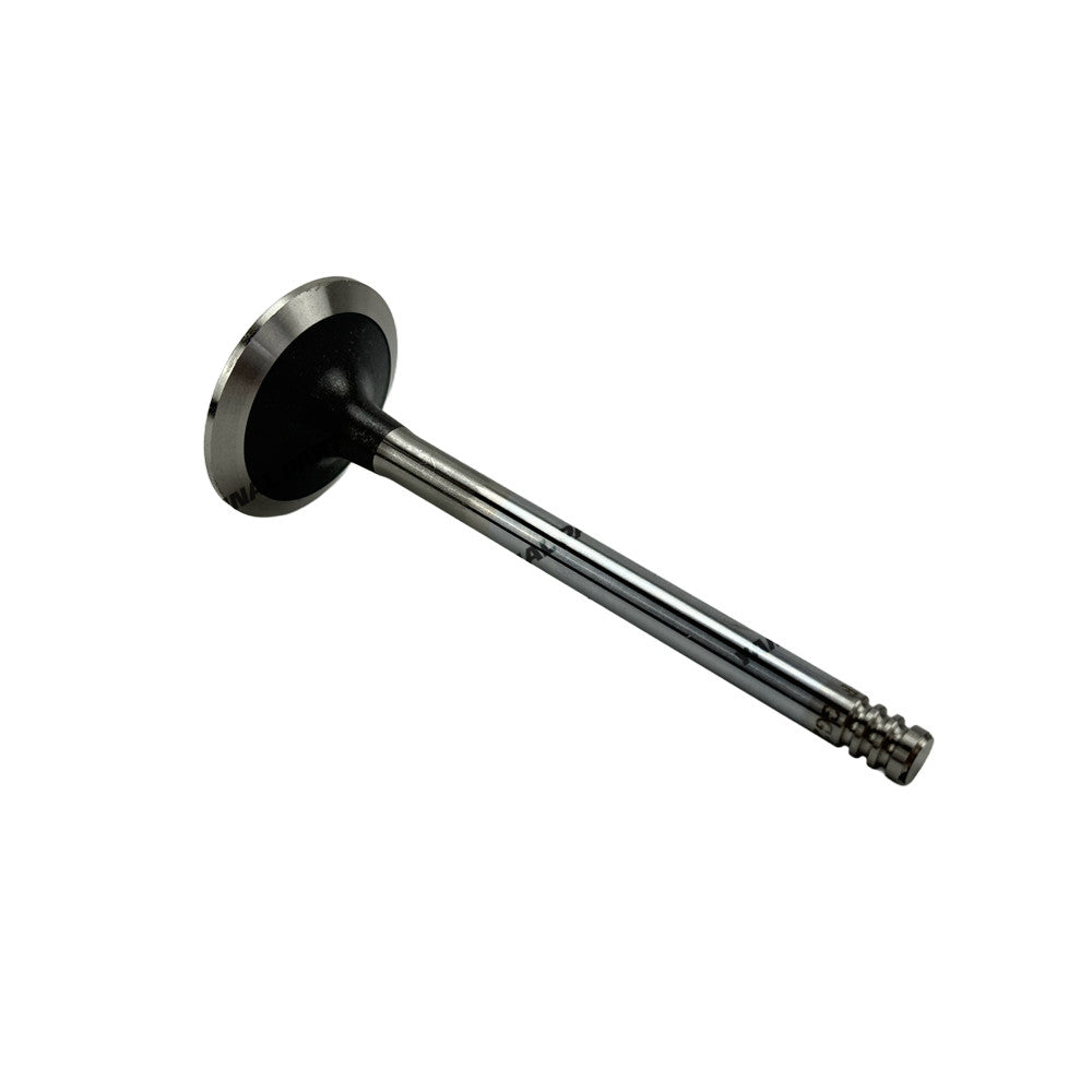 Intake Valve Fit For Deutz TD2.9L4 Engine