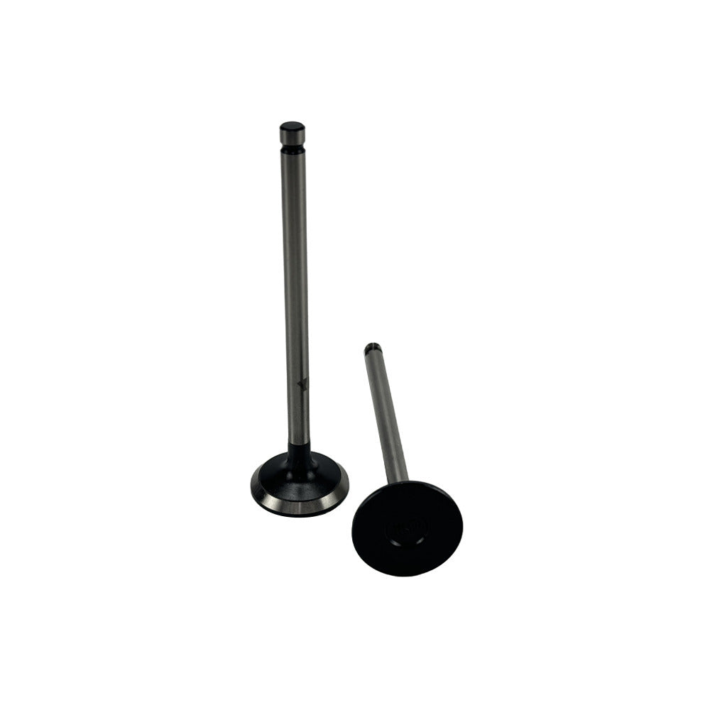 Exhaust Valve Fit For Toyota 1KD Engine