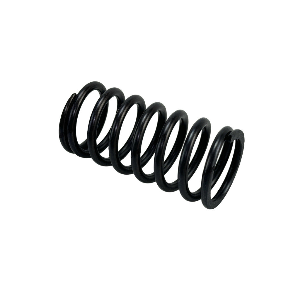 Valve Spring 194-4902 Fit For Caterpillar 3508 Engine