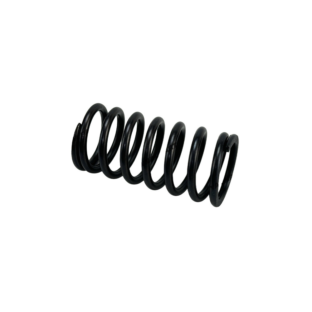 Valve Spring 194-4902 Fit For Caterpillar 3508 Engine
