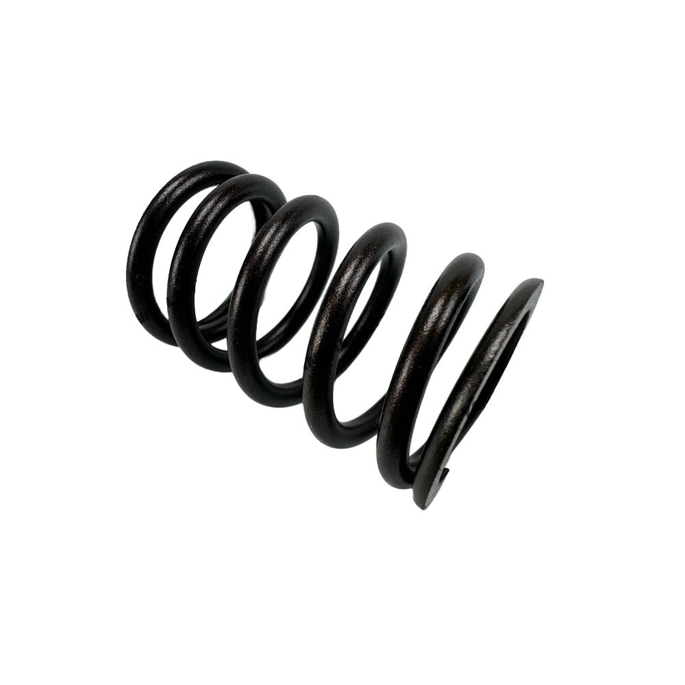 Valve Spring T417713 Fit For Caterpillar C6.6 Engine