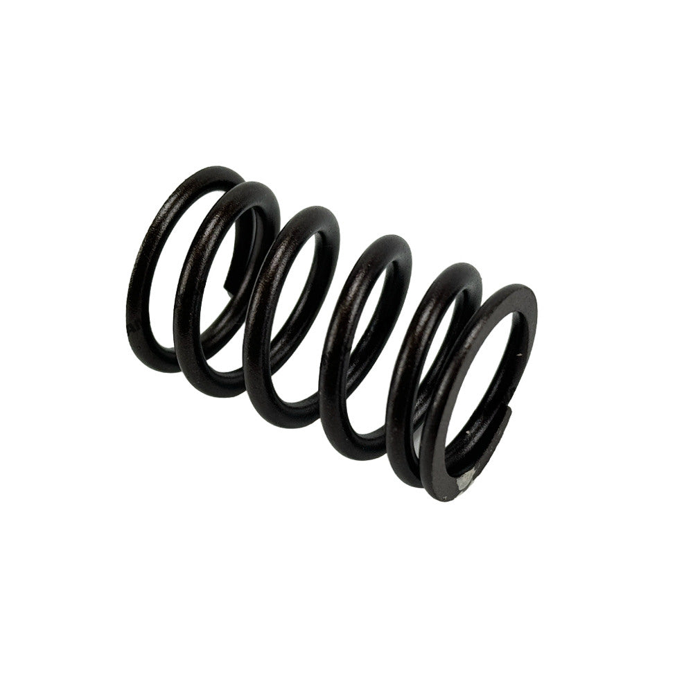 Valve Spring T417713 Fit For Caterpillar C6.6 Engine