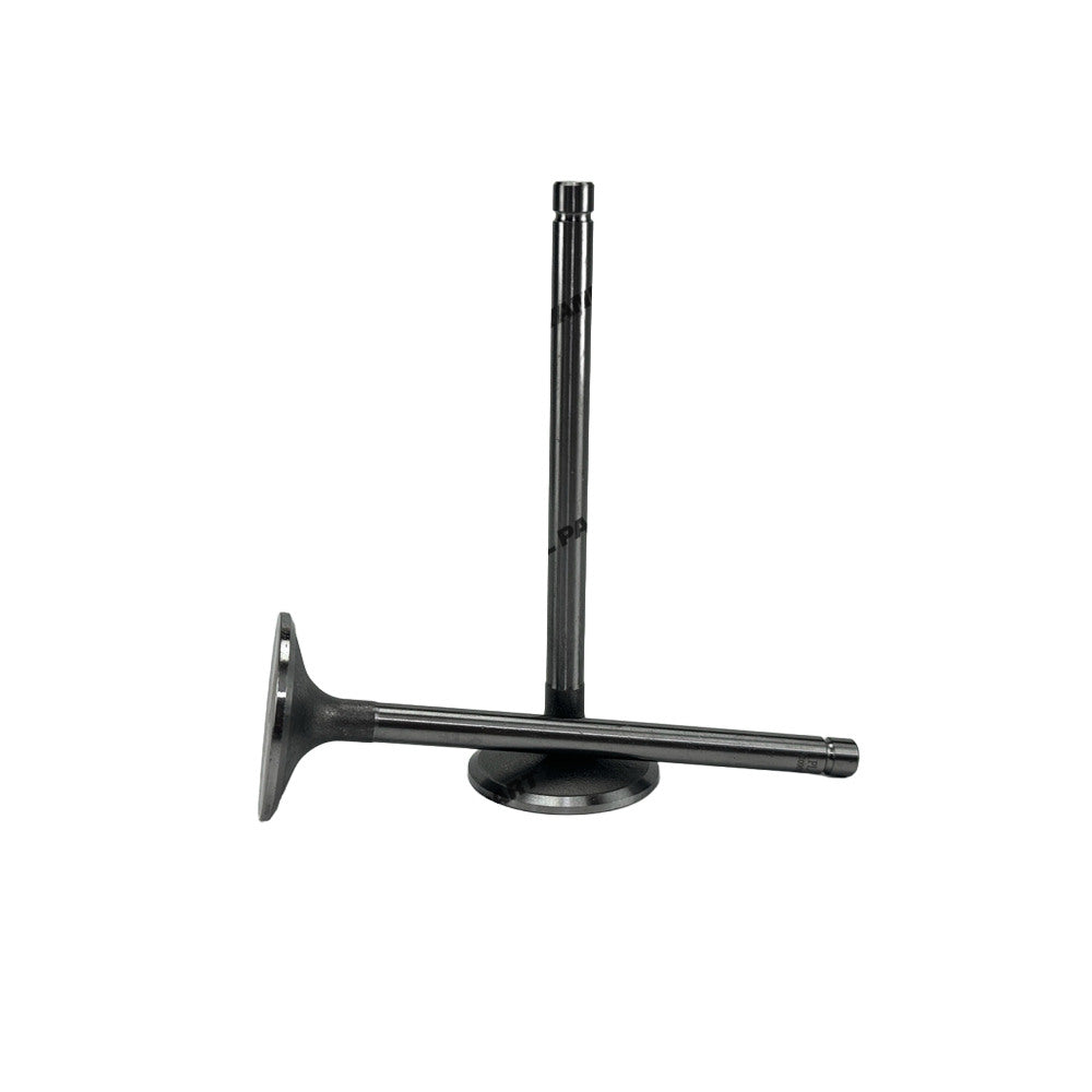 Intake Valve Fit For Dongfenghong LR4V5-23 Engine