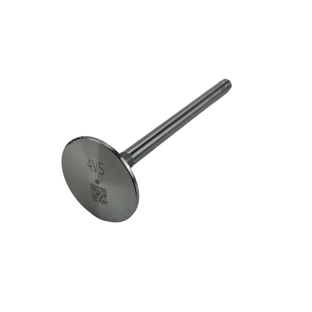 Intake Valve Fit For Dongfenghong LR4V5-23 Engine
