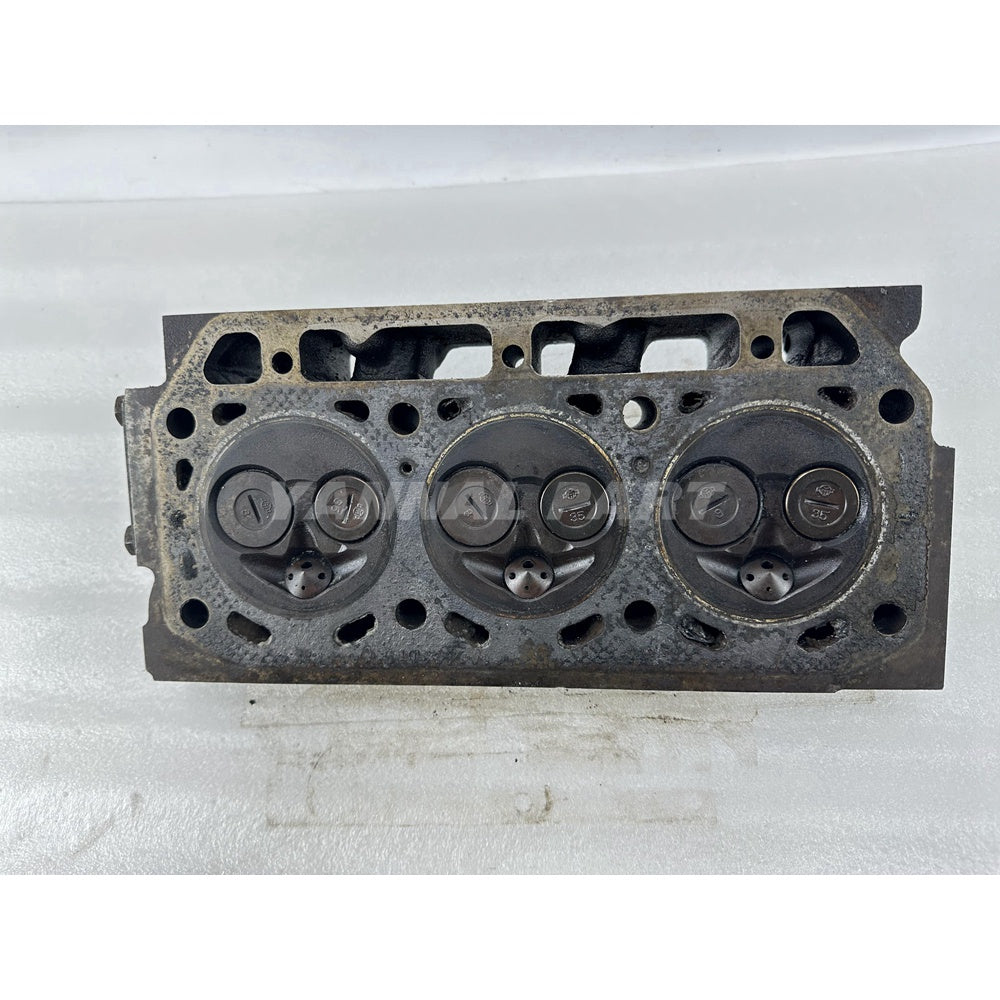 Cylinder Head With Valves For Yanmar 3T75 Engine