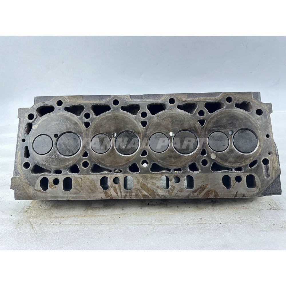 Cylinder Head With Valves For Yanmar 4TNE98 Engine