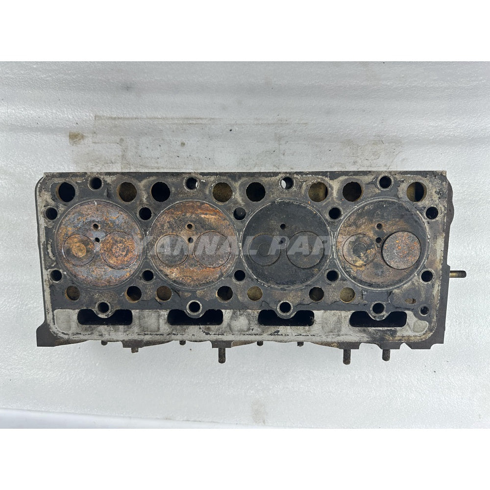 Cylinder Head With Valves For Kubota V1902-DI Engine