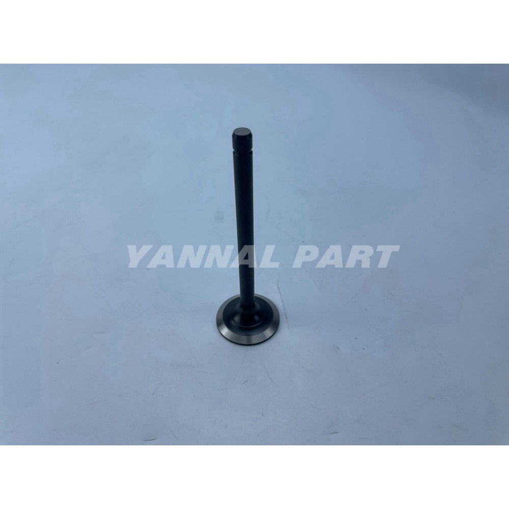 Exhaust Valve Fit For Kubota WG3800 Engine