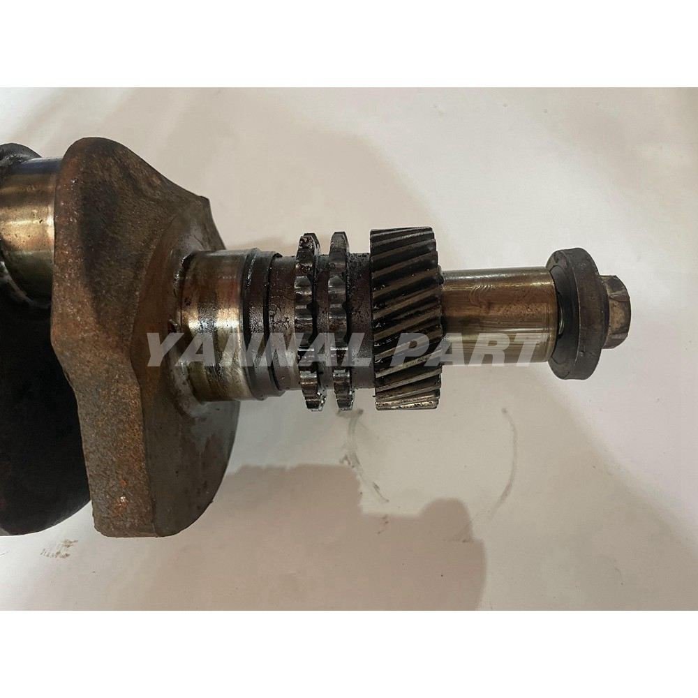 Crankshaft Fit For Isuzu 3KB1 Engine