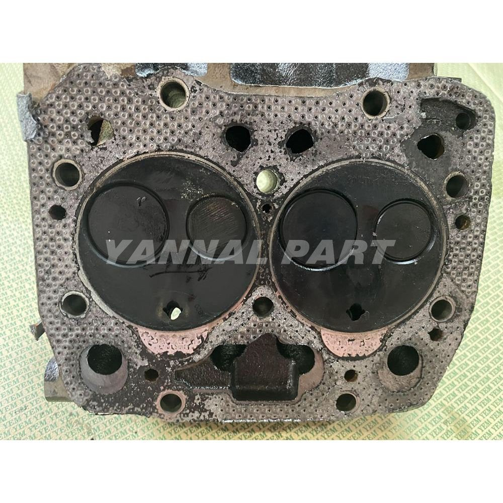 Cylinder Head Assy Fit For Perkins 402D-05 Engine