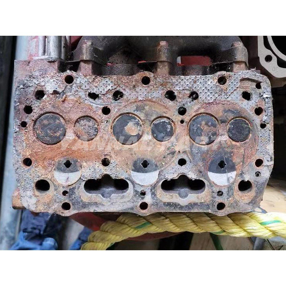 Cylinder Head Fit For Perkins 403D-07 Engine