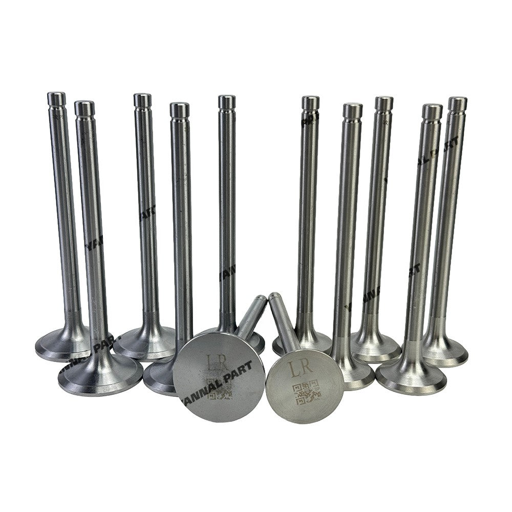 Intake and Exhaust Valve Fit For Dongfenghong LR6108 Engine