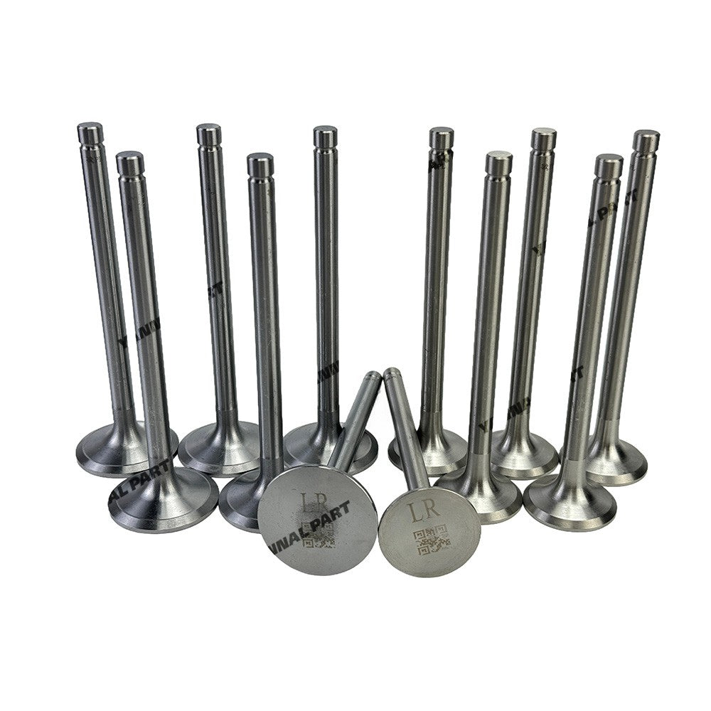Intake and Exhaust Valve Fit For Dongfenghong LR6108 Engine