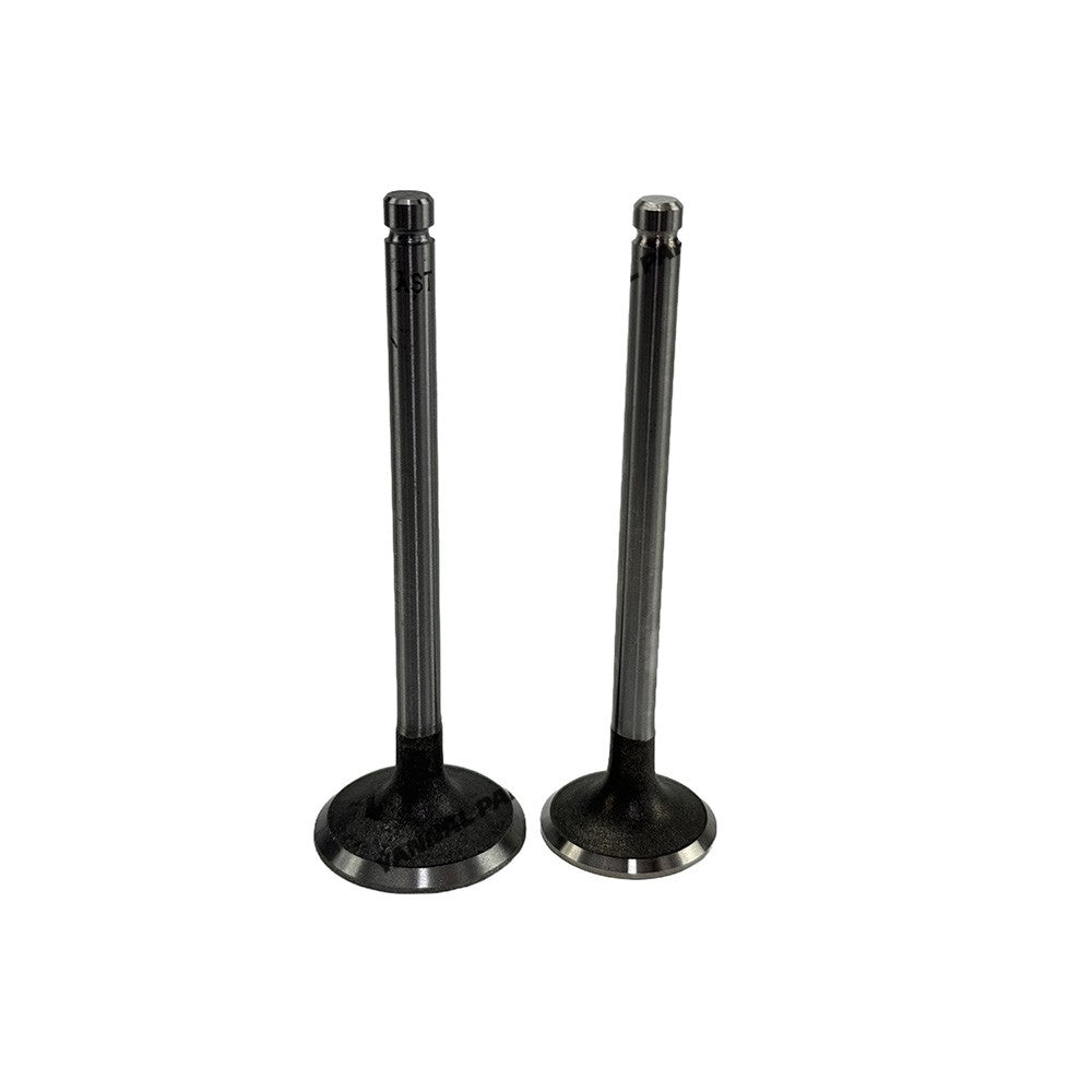 Intake and Exhaust Valve Fit For FAWDE 4DW92-42D Engine