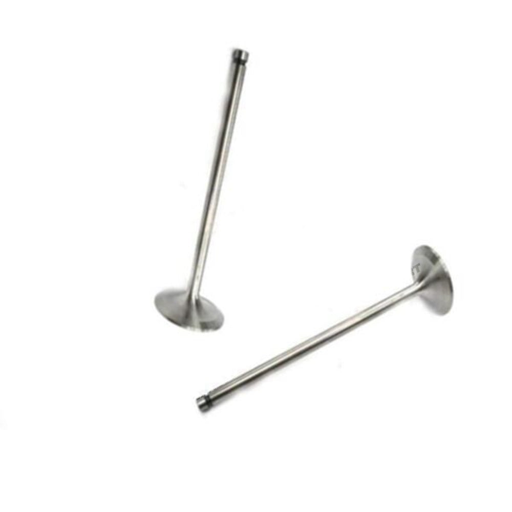 2 PCS Valve-Intake 7W-8064 for Caterpillar CAT Excavator 205B 214B 320 L E120B E200B Engine 3114 3116 in USA