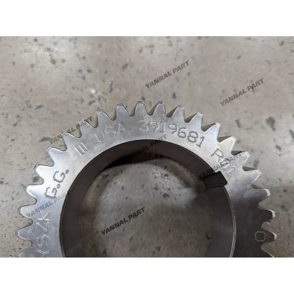 Crankshaft Gear 3919681 for Engine 4B 6B 6C 3.9L 5.9L