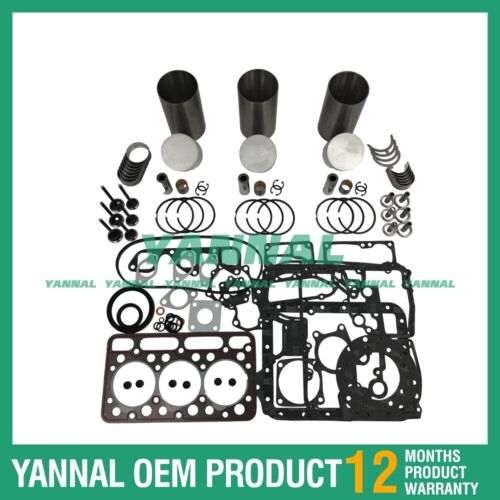 Rebuild Overhaul Kit For Kubota D1403 With Gasket Set Bearing