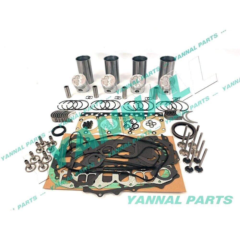 New Isuzu C190 Engine Overhaul Rebuild Kit With Valves